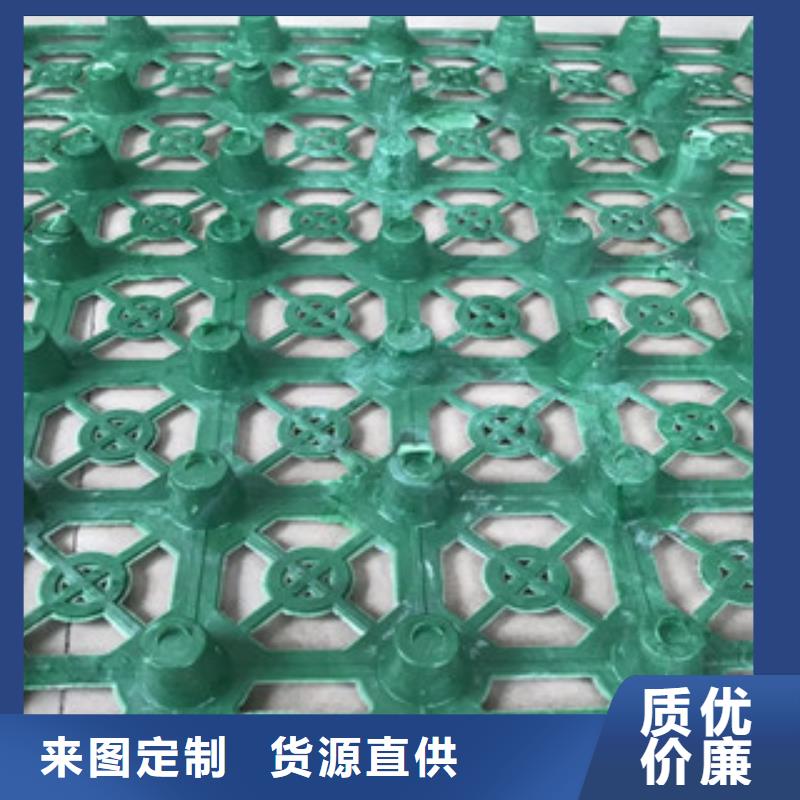 蓄排水板,膨润土防水毯厂家源头厂家经验丰富