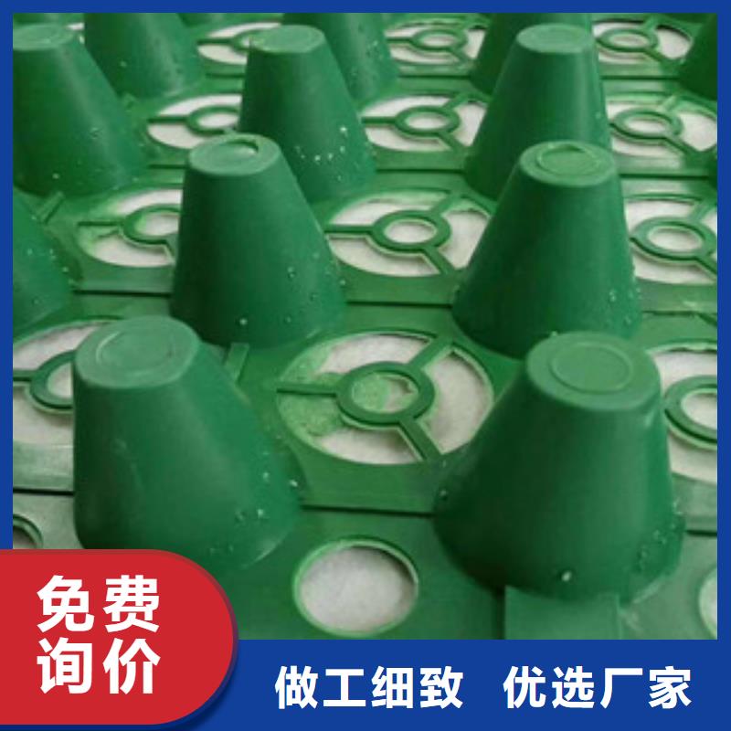 蓄排水板-【蓄排水板厂家】高品质诚信厂家