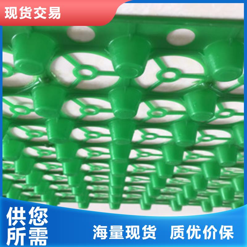 蓄排水板膨润土防水毯厂家好产品好服务