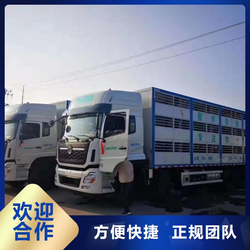 无锡到猪只运输专用车-恒温车口碑公司