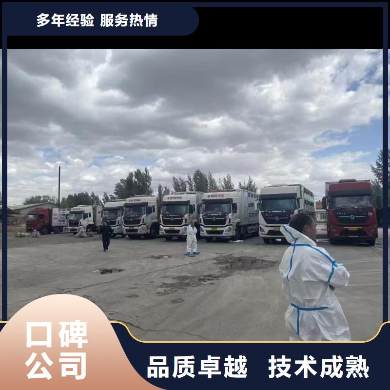 沭阳到活禽运输-恒温车诚实守信
