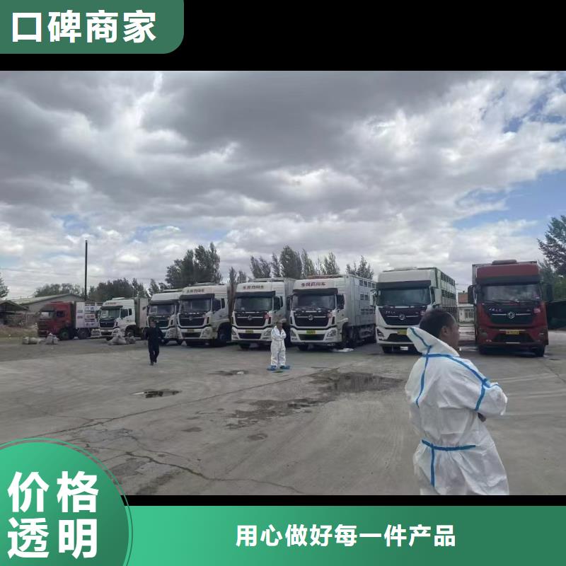 淮安到猪牛羊运输-恒温车实力团队