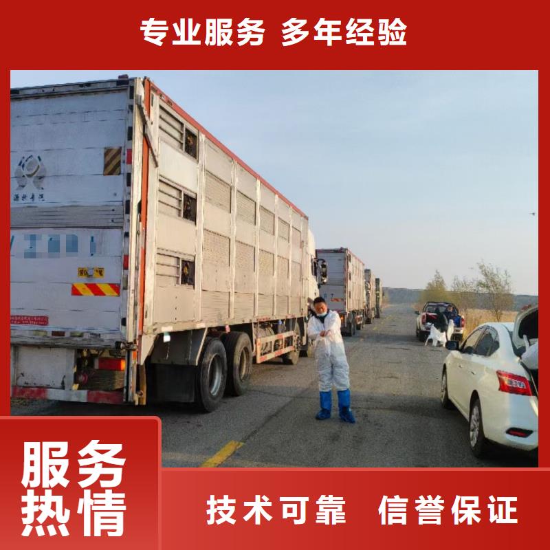 杭州到猪牛羊运输恒温车
