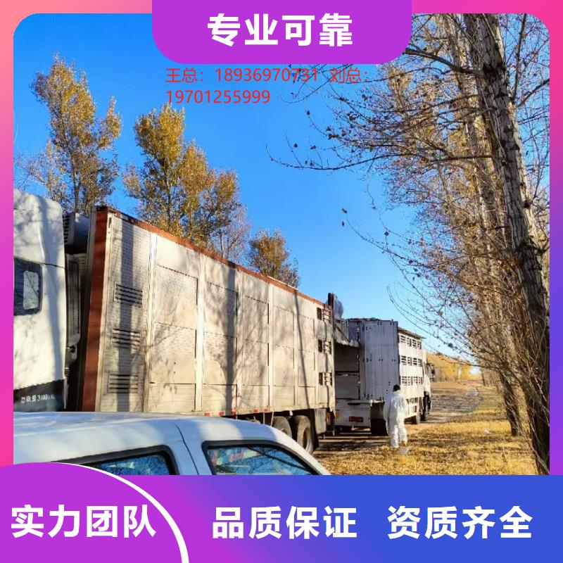 宿迁到仔猪运输-恒温车车辆