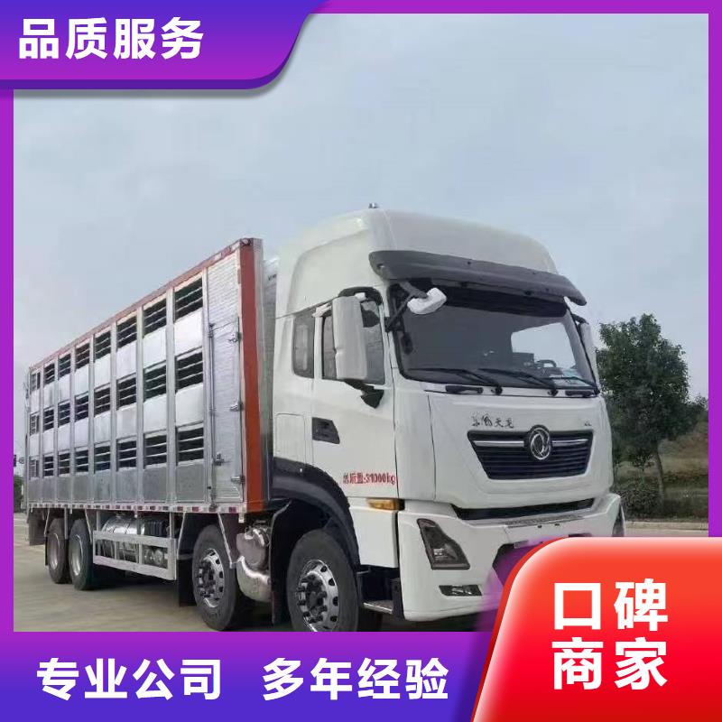 镇江到生猪运输空调车信誉良好