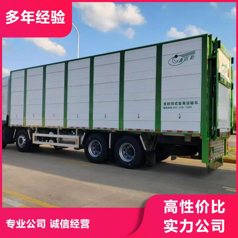 镇江到生猪运输空调车信誉良好