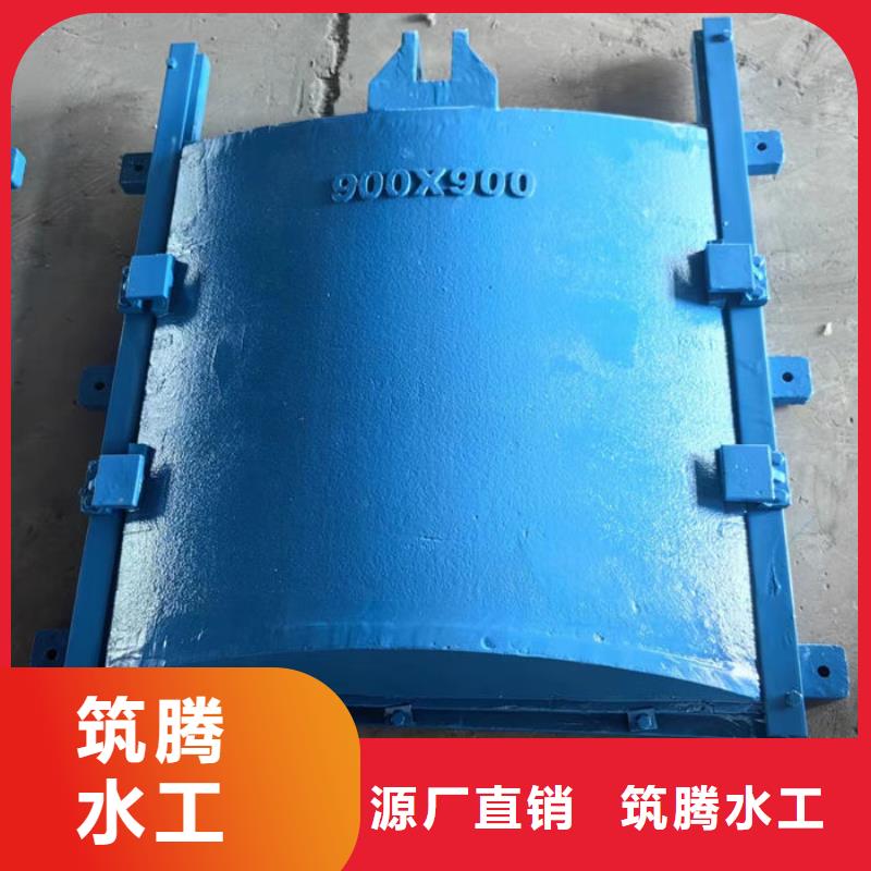 ZMF铸铁镶铜闸门诚信为本