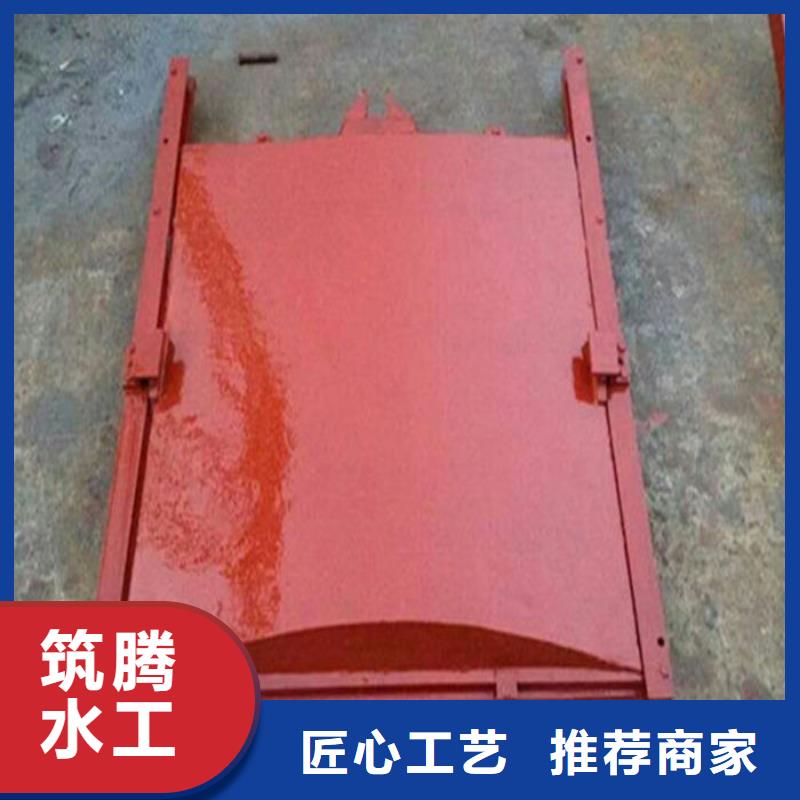 ZMF铸铁镶铜闸门诚信为本